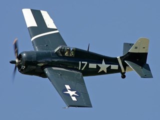 F4F-F 野猫